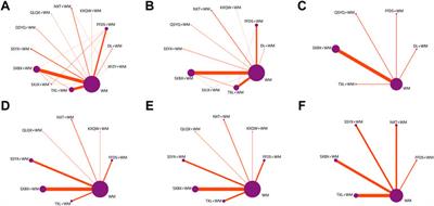 The comparative effects of oral Chinese patent medicines combined with western medicine in stable angina: A systematic review and network meta-analysis of 179 trials